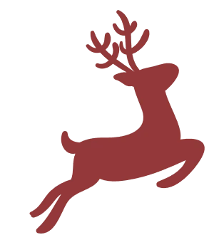 joyeux noel GEEKOM MINI PC noël solde