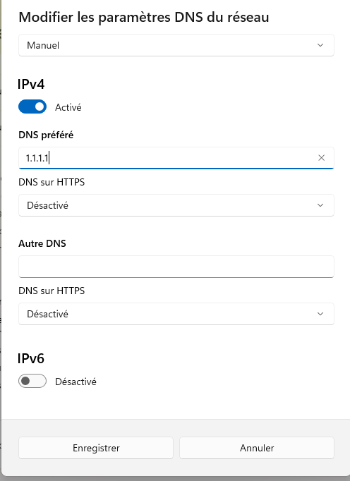 Saisissez l'adresse de votre DNS préféré et celle du DNS auxiliaire